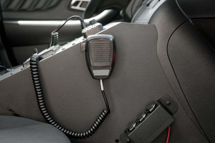MAGNETIC MIC